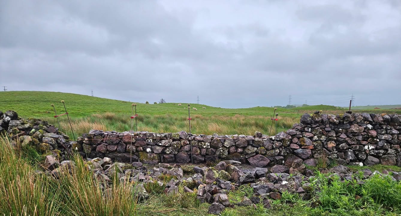 West Of Scotland Dry Stone Walling Association