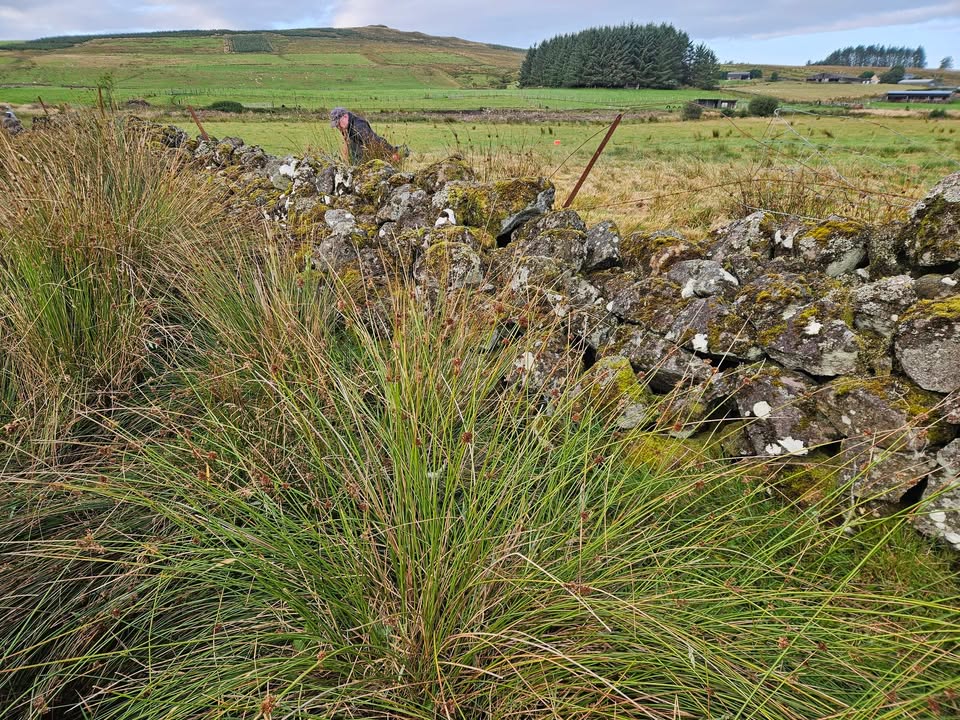 West Of Scotland Dry Stone Walling Association