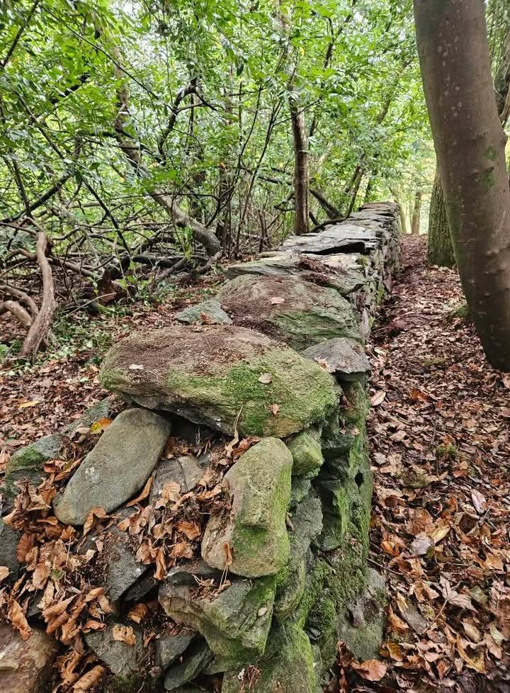 West Of Scotland Dry Stone Walling Association